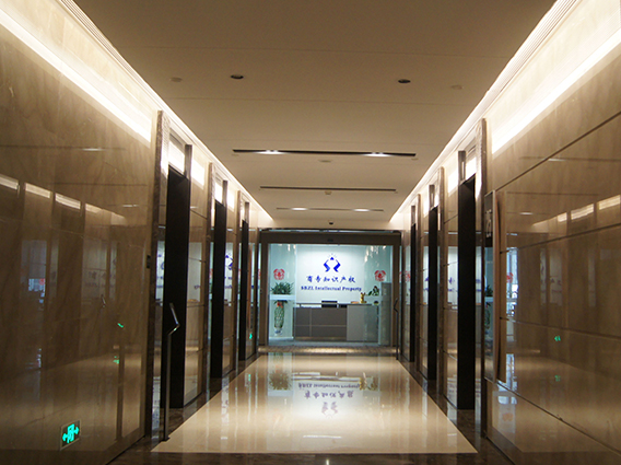 知識(shí)產(chǎn)權(quán) 知識(shí)產(chǎn)權(quán)